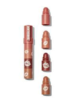 رژ لب مگا 4 در 1 شی گلم Sheglam mega lip stacks